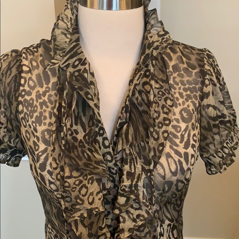 Beautiful Karlie sheer animal print top - Picture 2 of 6